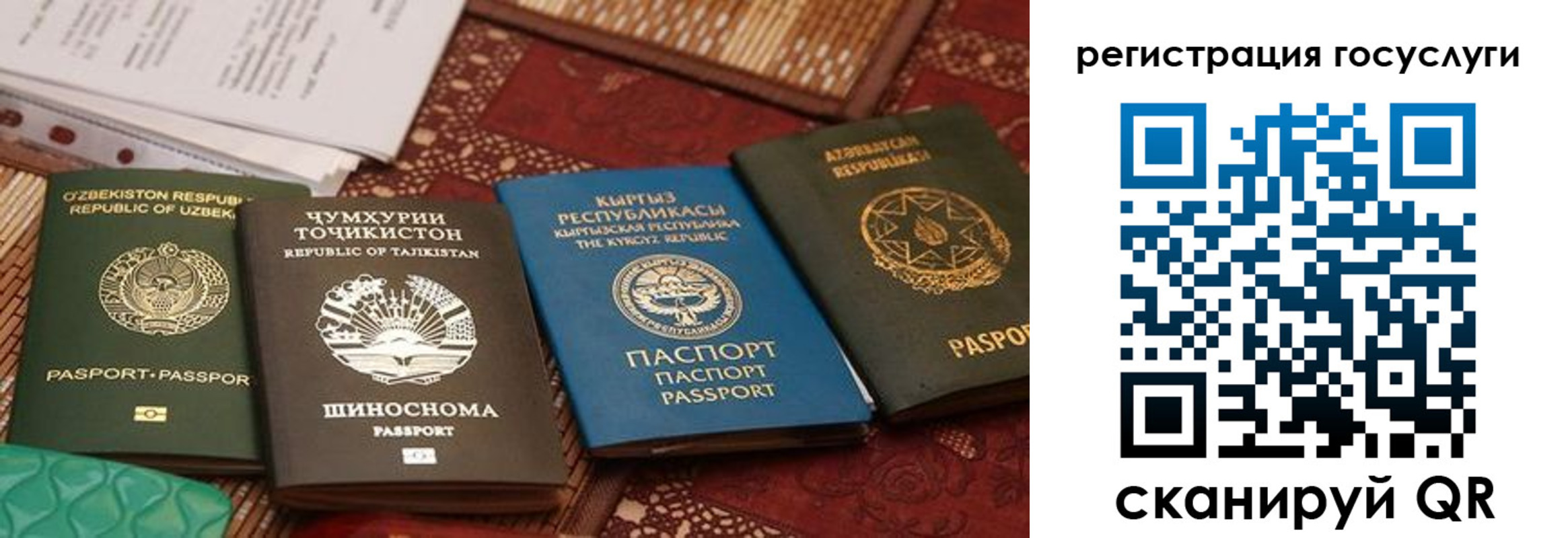временная регистрация 2025 в Острогожске